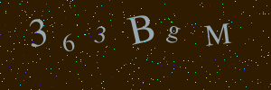 Validation image